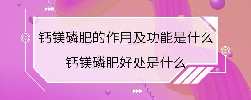 钙镁磷肥的作用及功能是什么 钙镁磷肥好处是什么