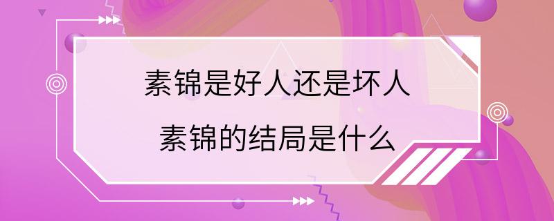 素锦是好人还是坏人 素锦的结局是什么