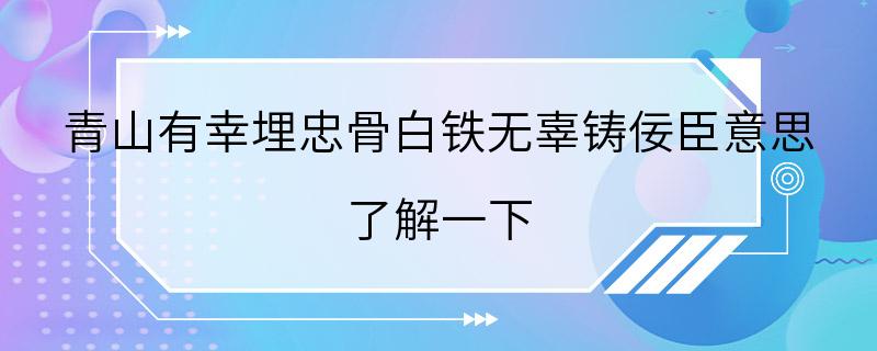 青山有幸埋忠骨白铁无辜铸佞臣意思 了解一下