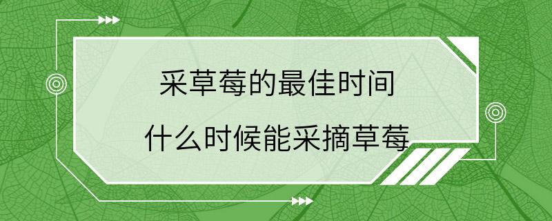 采草莓的最佳时间 什么时候能采摘草莓