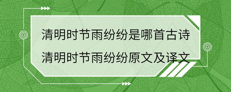 清明时节雨纷纷是哪首古诗 清明时节雨纷纷原文及译文