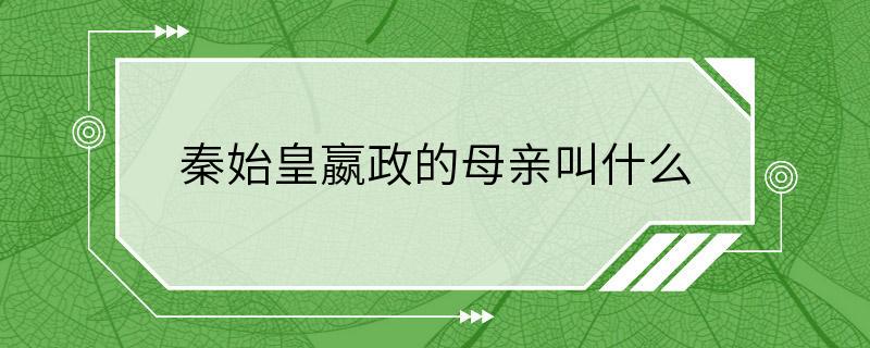 秦始皇嬴政的母亲叫什么