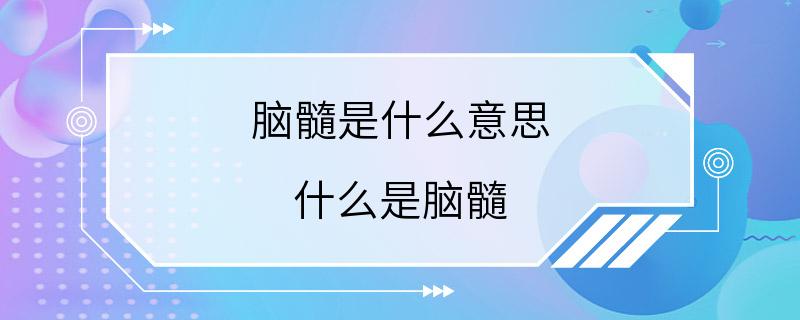 脑髓是什么意思 什么是脑髓