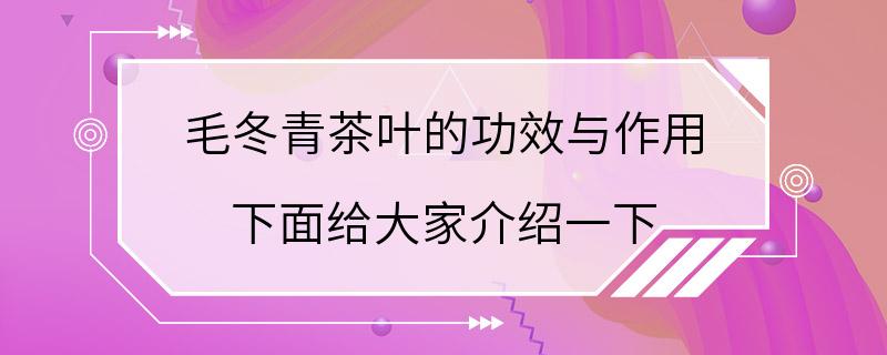 毛冬青茶叶的功效与作用 下面给大家介绍一下