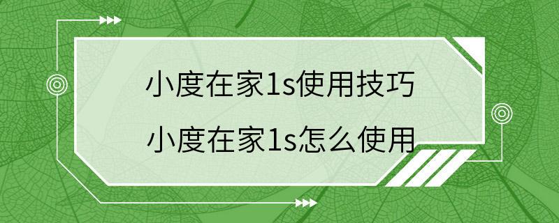 小度在家1s使用技巧 小度在家1s怎么使用