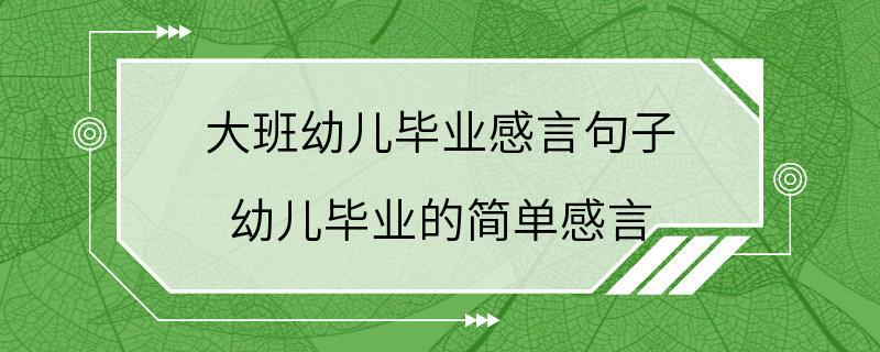 大班幼儿毕业感言句子 幼儿毕业的简单感言