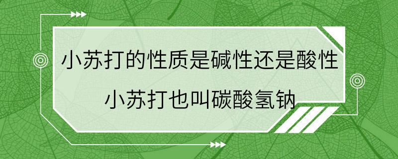 小苏打的性质是碱性还是酸性 小苏打也叫碳酸氢钠