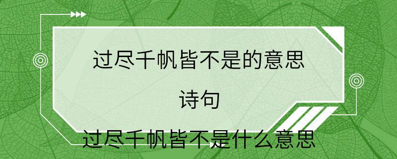 过尽千帆皆不是的意思 诗句 过尽千帆皆不是什么意思