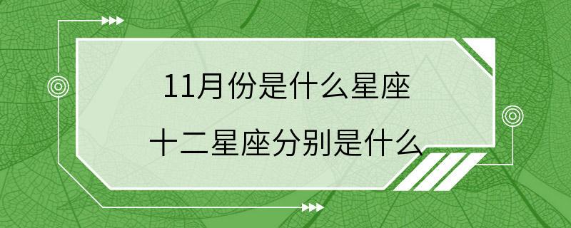 11月份是什么星座 十二星座分别是什么