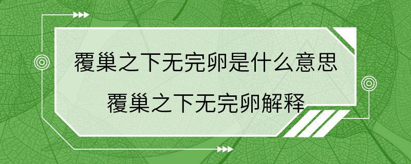 覆巢之下无完卵是什么意思 覆巢之下无完卵解释