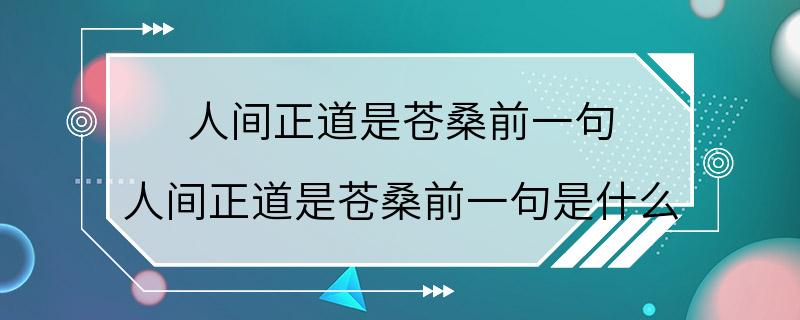 人间正道是苍桑前一句 人间正道是苍桑前一句是什么