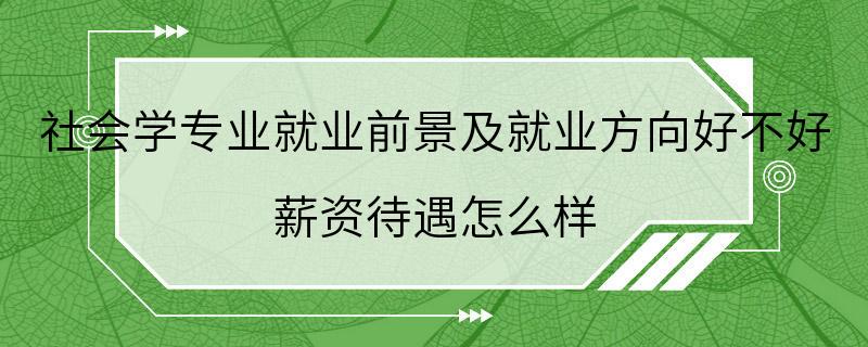 社会学专业就业前景及就业方向好不好 薪资待遇怎么样