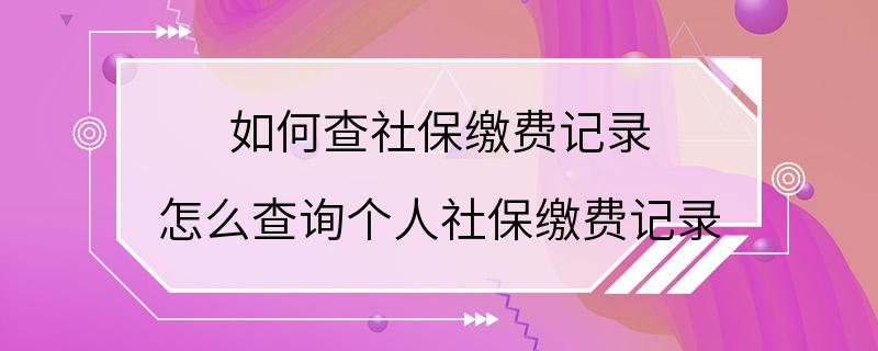 如何查社保缴费记录 怎么查询个人社保缴费记录