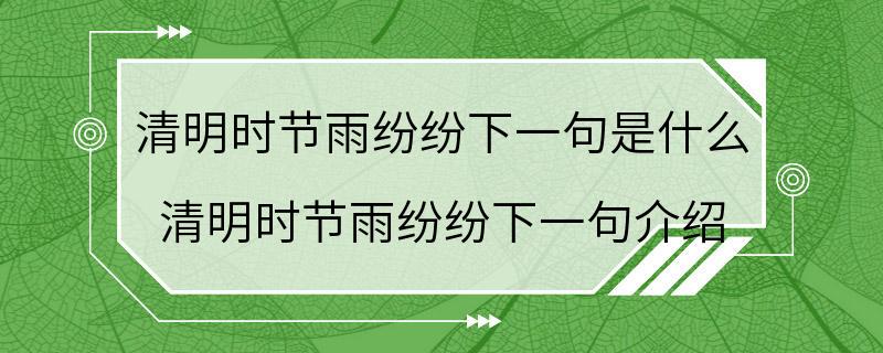 清明时节雨纷纷下一句是什么 清明时节雨纷纷下一句介绍