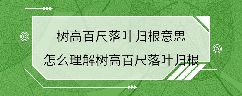 树高百尺落叶归根意思 怎么理解树高百尺落叶归根