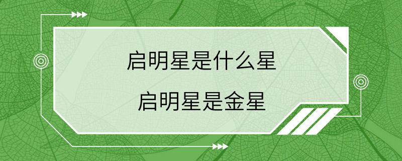 启明星是什么星 启明星是金星