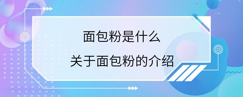 面包粉是什么 关于面包粉的介绍