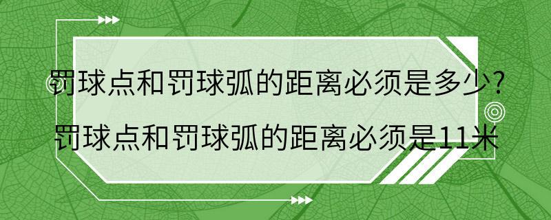 罚球点和罚球弧的距离必须是多少? 罚球点和罚球弧的距离必须是11米