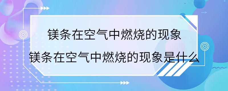 镁条在空气中燃烧的现象 镁条在空气中燃烧的现象是什么