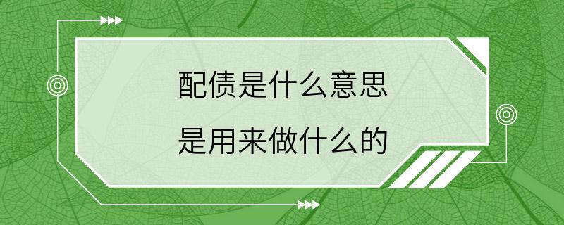 配债是什么意思 是用来做什么的