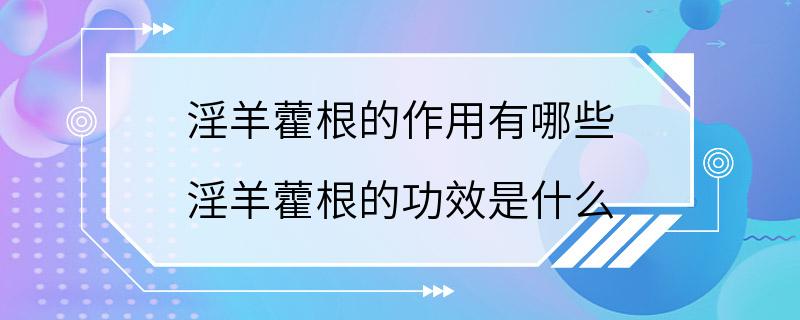 淫羊藿根的作用有哪些 淫羊藿根的功效是什么