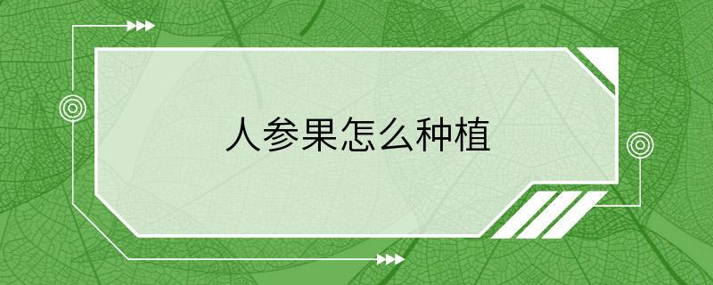 人参果怎么种植