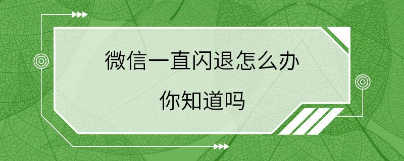 微信一直闪退怎么办 你知道吗