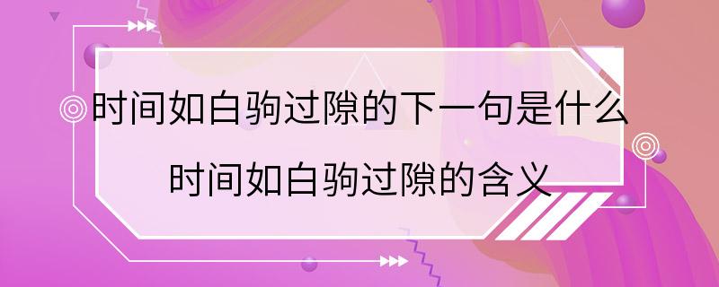 时间如白驹过隙的下一句是什么 时间如白驹过隙的含义