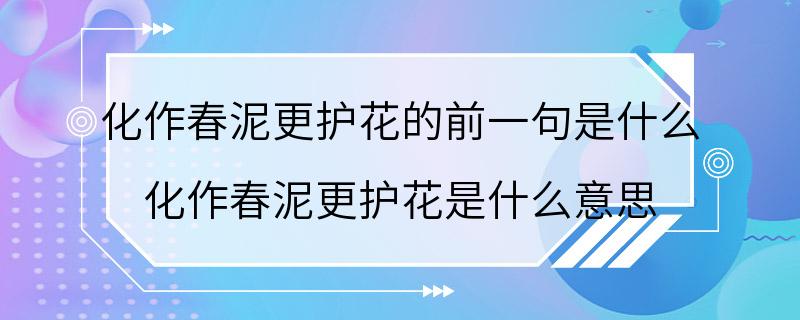 化作春泥更护花的前一句是什么 化作春泥更护花是什么意思