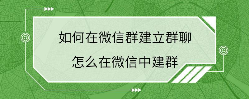 如何在微信群建立群聊 怎么在微信中建群