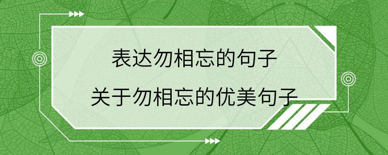 表达勿相忘的句子 关于勿相忘的优美句子