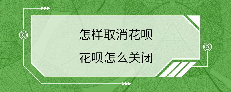 怎样取消花呗 花呗怎么关闭