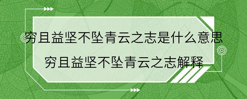 穷且益坚不坠青云之志是什么意思 穷且益坚不坠青云之志解释