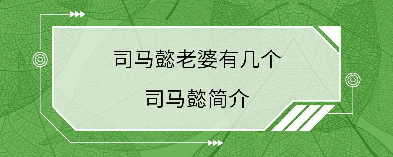 司马懿老婆有几个 司马懿简介