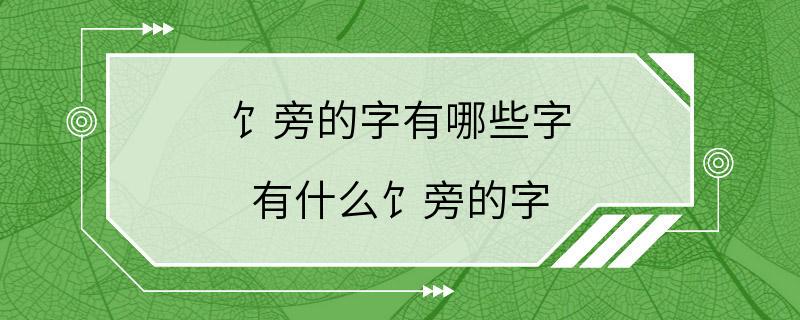 饣旁的字有哪些字 有什么饣旁的字