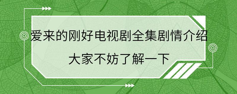 爱来的刚好电视剧全集剧情介绍 大家不妨了解一下