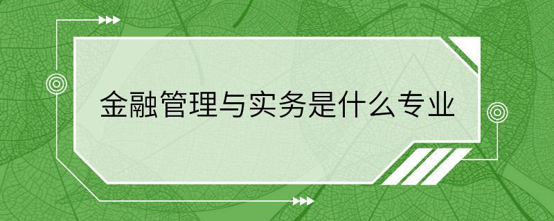 金融管理与实务是什么专业