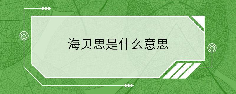 海贝思是什么意思