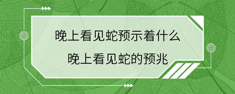 晚上看见蛇预示着什么 晚上看见蛇的预兆