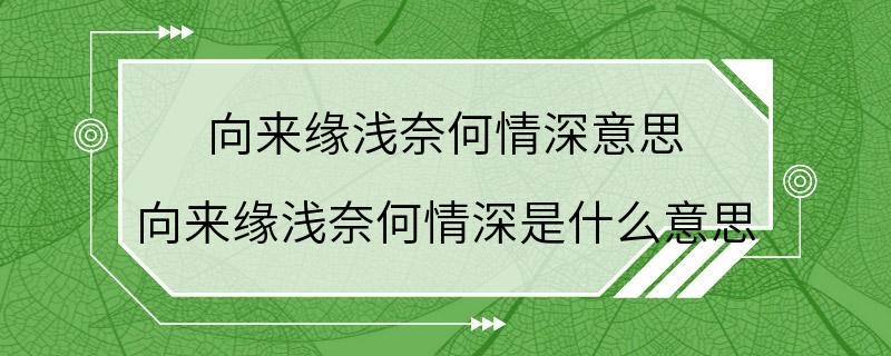 向来缘浅奈何情深意思 向来缘浅奈何情深是什么意思