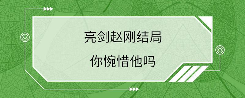 亮剑赵刚结局 你惋惜他吗