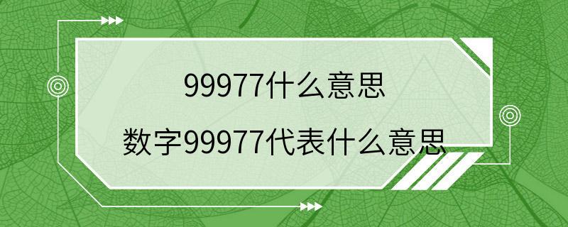 99977什么意思 数字99977代表什么意思