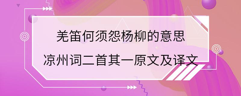 羌笛何须怨杨柳的意思 凉州词二首其一原文及译文