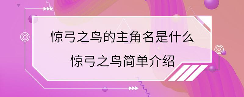 惊弓之鸟的主角名是什么 惊弓之鸟简单介绍