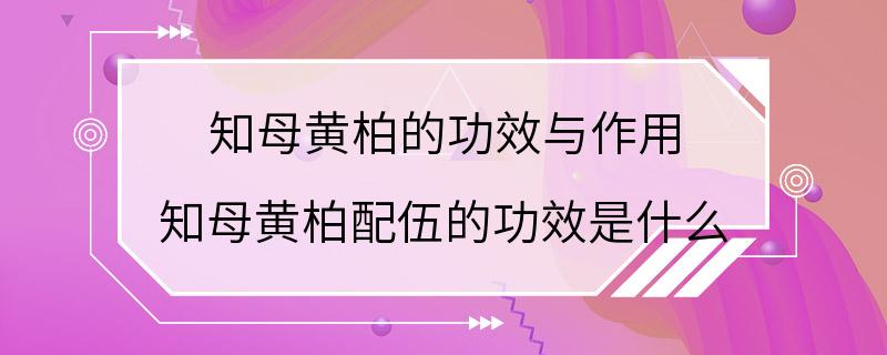 知母黄柏的功效与作用 知母黄柏配伍的功效是什么