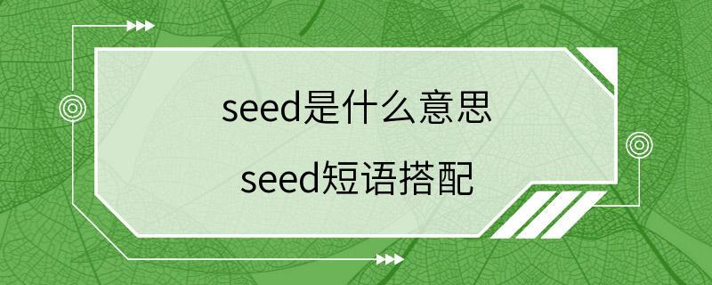 seed是什么意思 seed短语搭配