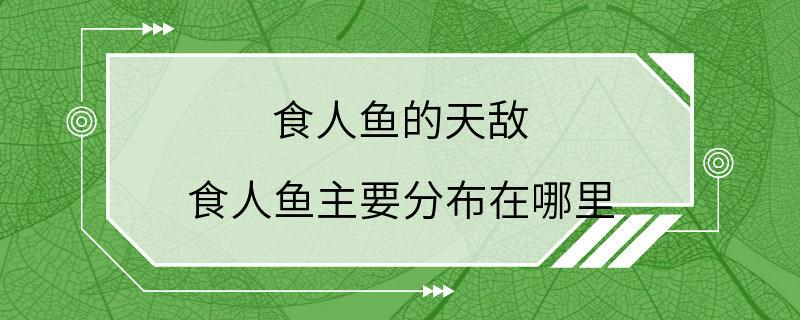 食人鱼的天敌 食人鱼主要分布在哪里