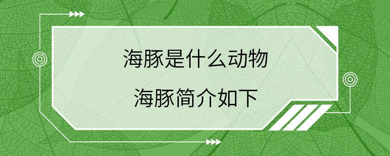 海豚是什么动物 海豚简介如下