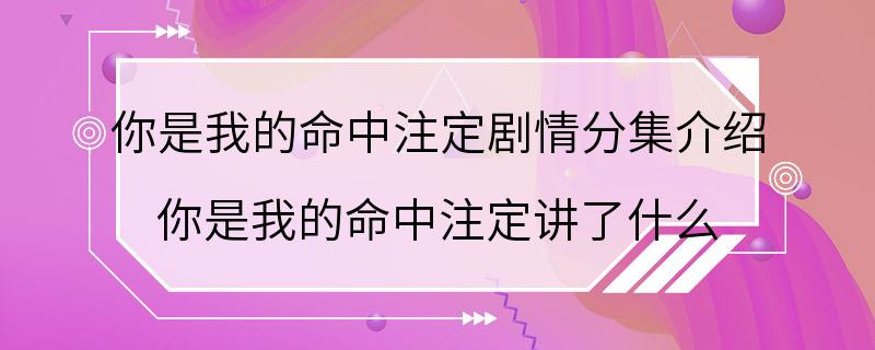 你是我的命中注定剧情分集介绍 你是我的命中注定讲了什么