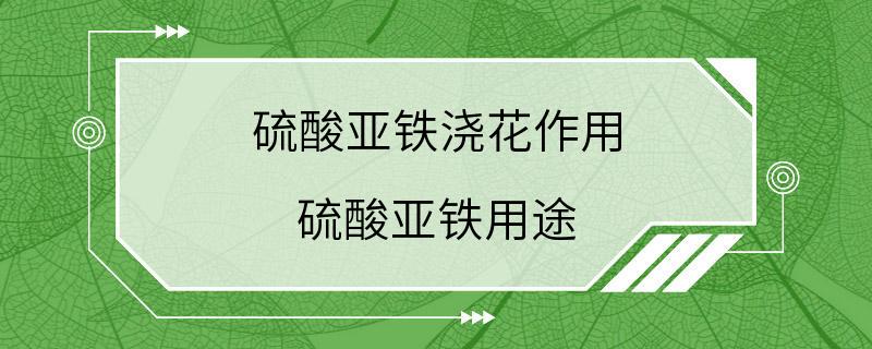 硫酸亚铁浇花作用 硫酸亚铁用途